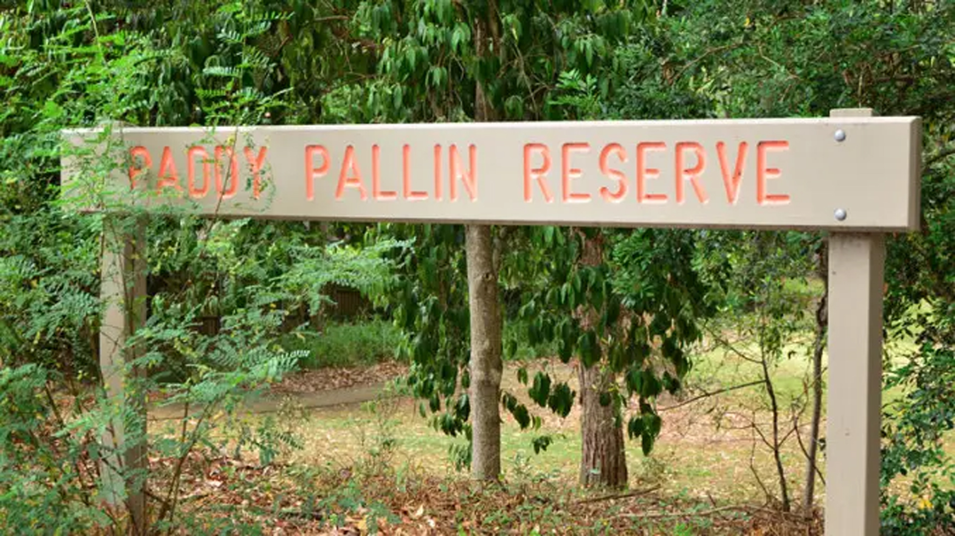 Paddy Pallin Reserve bushland