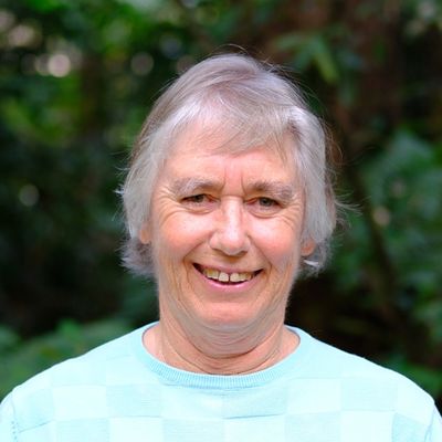 Nancy Pallin