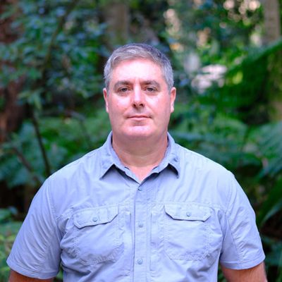 Tim Pallin