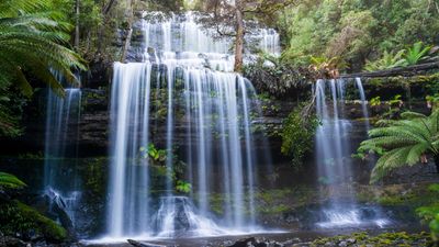 Tasmanian Land Conservancy