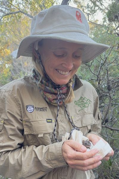 Researcher holding a small native marsupial during field survey work