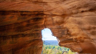 Protect the Pilliga