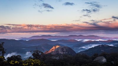Protect Australia